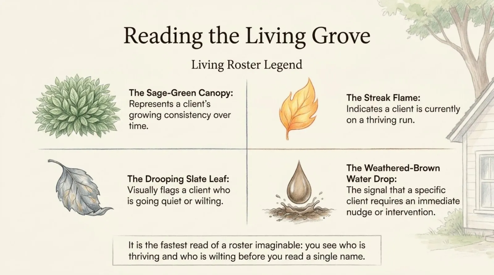 A hand-drawn legend for the living grove: a sage-green canopy for consistency, a flame for a streak, a drooping slate leaf for going quiet, and a water drop for a needed nudge
