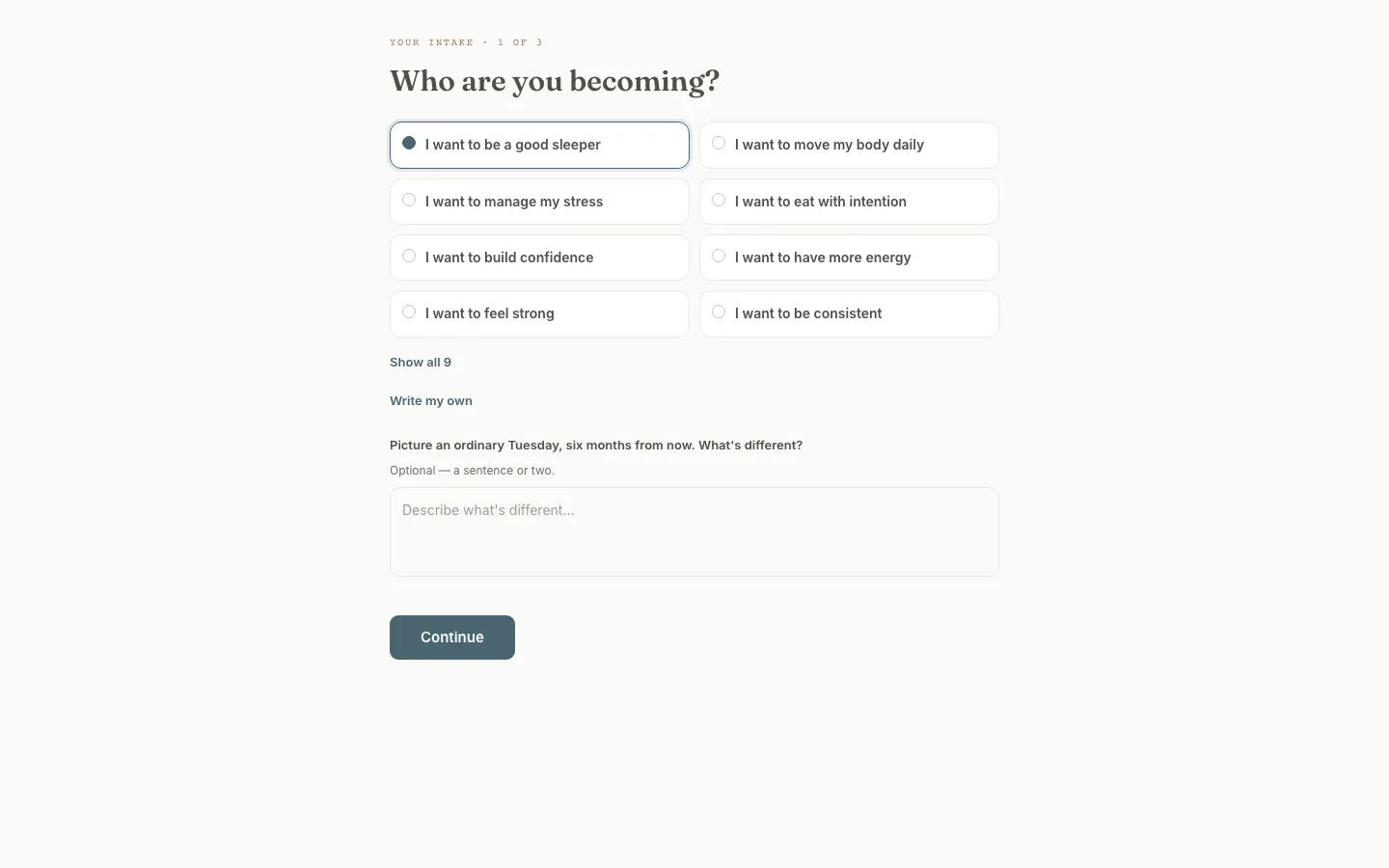 The guided onboarding's vision screen, Who are you becoming, with identity cards and the optional ordinary-Tuesday prompt