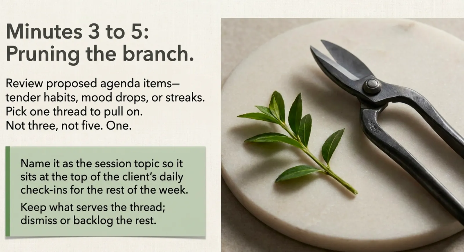 Minutes 3 to 5, pruning the branch: a small pair of garden shears resting next to a leafy sprig on a ceramic dish. Caption reads "Review proposed agenda items — tender habits, mood drops, or streaks. Pick one thread to pull on. Not three, not five. One. Name it as the session topic so it sits at the top of the client's daily check-ins for the rest of the week. Keep what serves the thread; dismiss or backlog the rest."