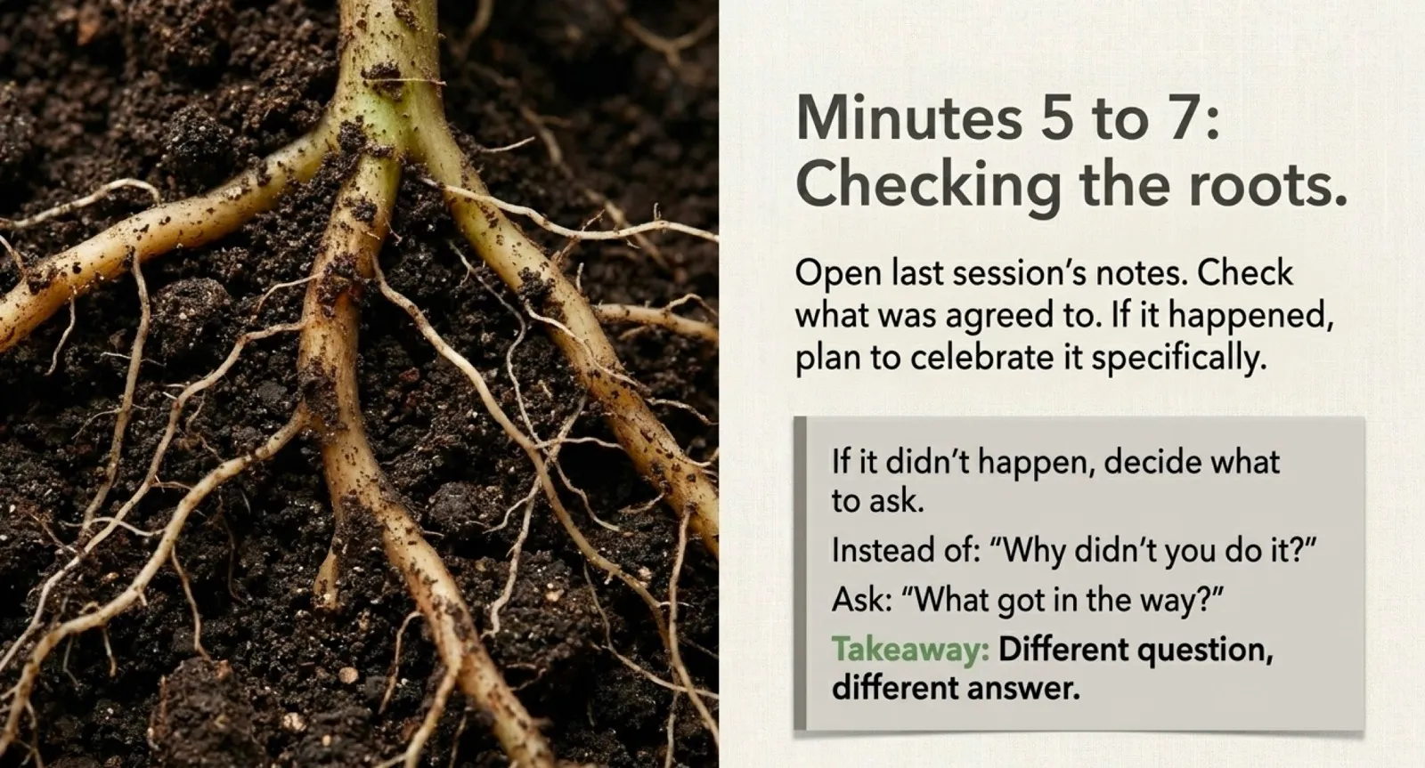 Minutes 5 to 7, checking the roots: a close-up photograph of a young plant's root system in dark soil. Caption reads "Open last session's notes. Check what was agreed to. If it happened, plan to celebrate it specifically. If it didn't, decide what to ask. Instead of 'why didn't you do it?' ask 'what got in the way?' Different question, different answer."