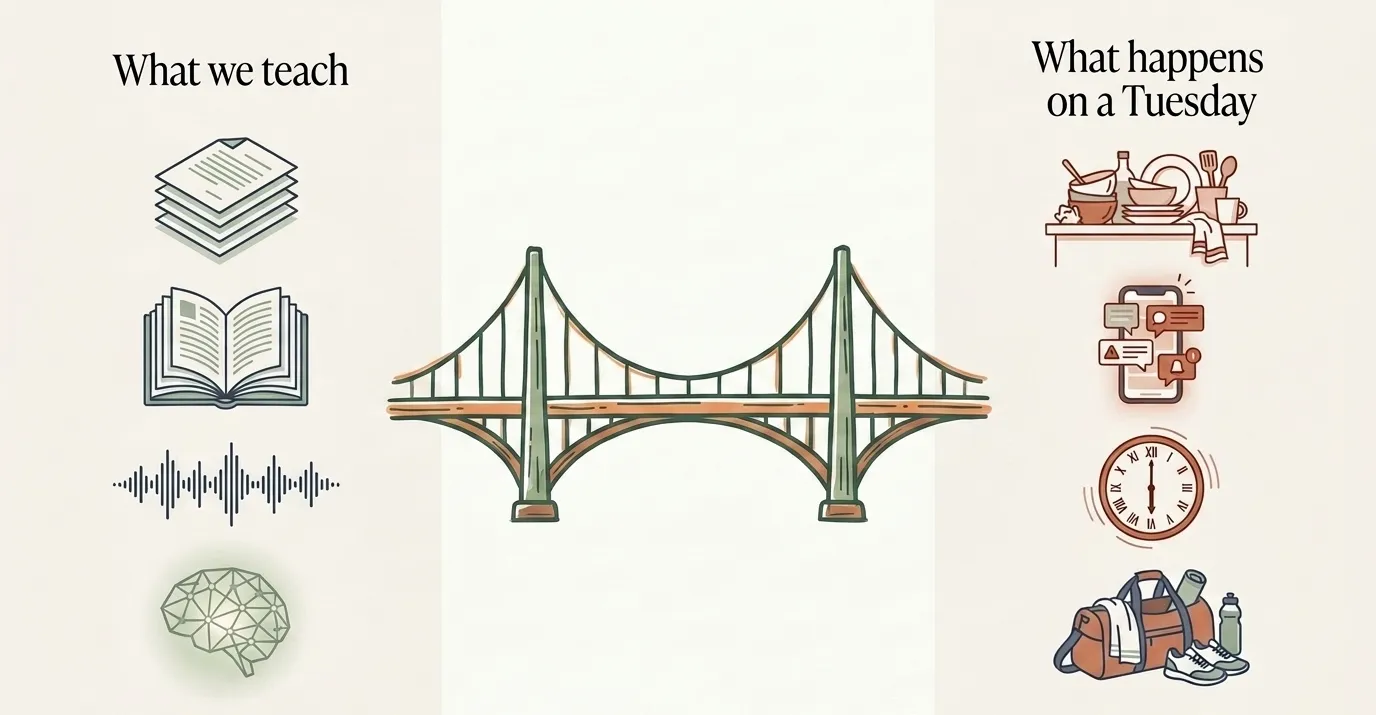 A two-column hand-illustrated diagram on cream. Left column, 'What we teach,' shows a stack of papers, an open book, an audio waveform, and a brain. Right column, 'What happens on a Tuesday,' shows a meal scene, a person carrying groceries, a wall clock, and a group of figures. A sage-green suspension bridge spans the center, connecting the two columns.