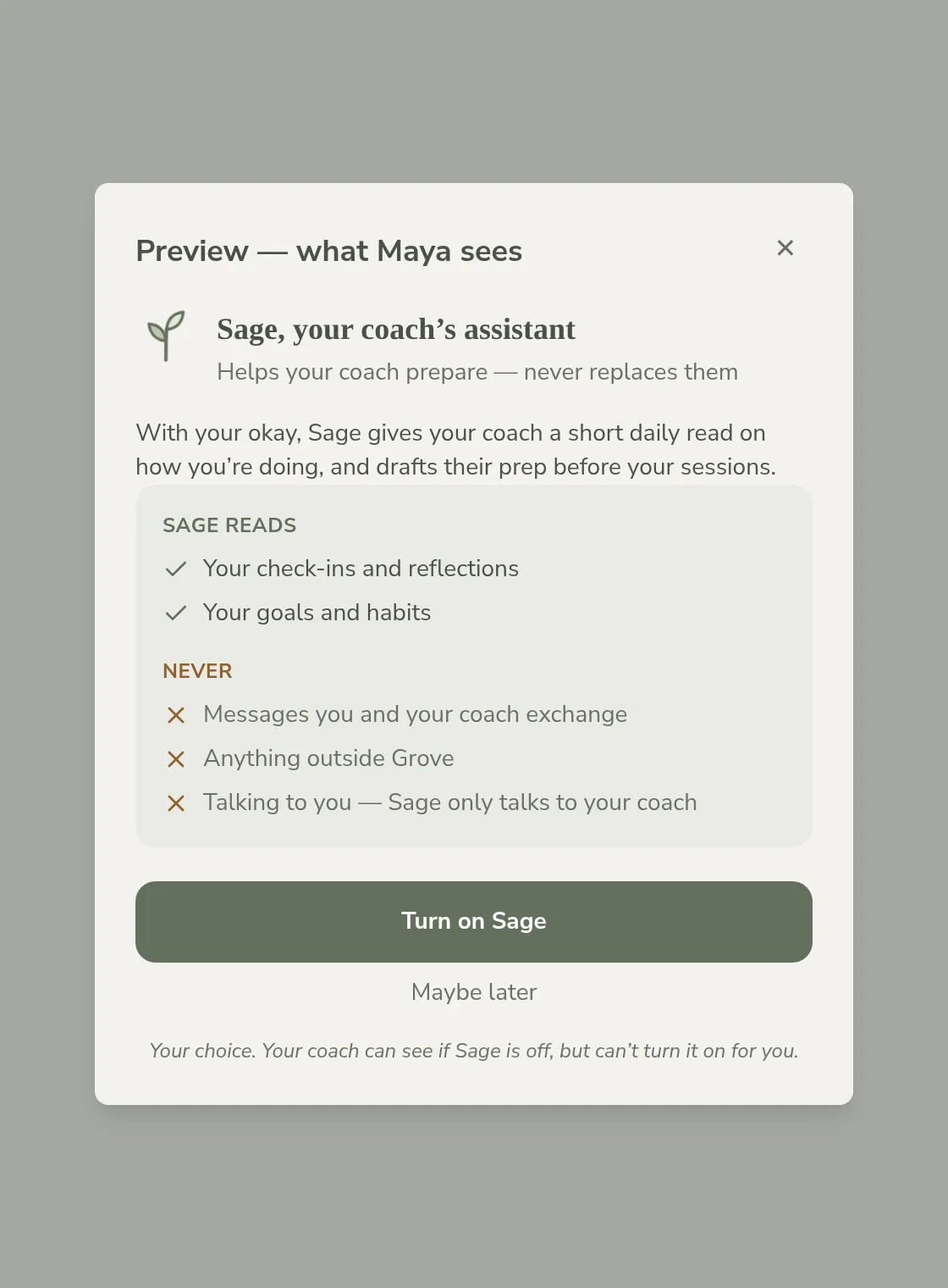 A read-only preview modal showing what a named client will see: Sage reads and Never lists, and inert Turn on Sage and Maybe later buttons