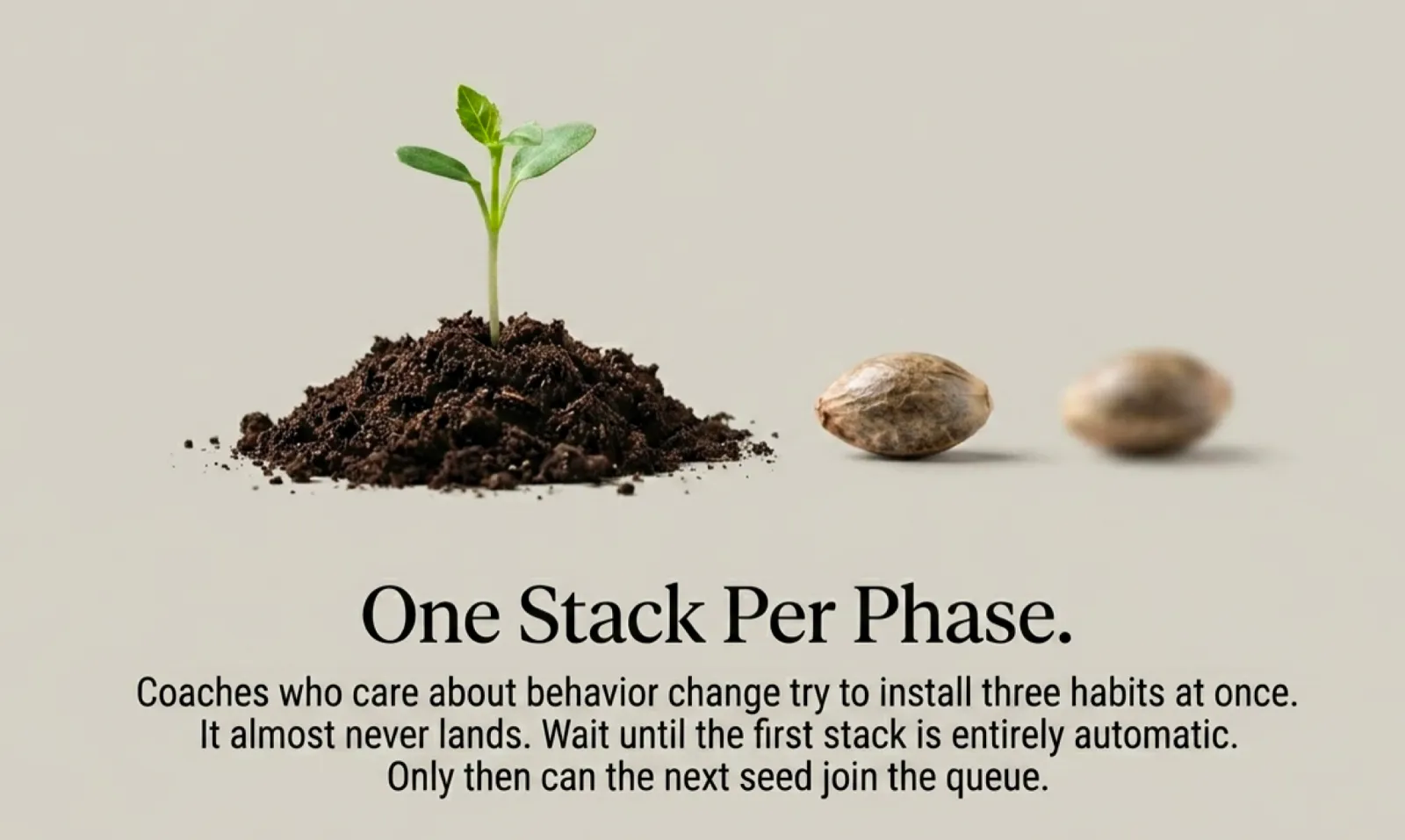 A photo composition titled "One Stack Per Phase." On the left, a healthy green seedling growing from a small mound of dark soil. On the right, two dormant seeds resting on a neutral surface, waiting. Footer: "Coaches who care about behavior change try to install three habits at once. It almost never lands. Wait until the first stack is entirely automatic. Only then can the next seed join the queue."